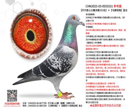 �������Ĺ������253��������õ��ֱŮ