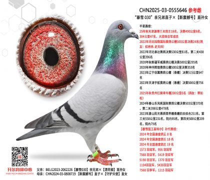 ����ѩ 030�����ֵ�ֱ�ӡ����𺳺�ֱ��Ů