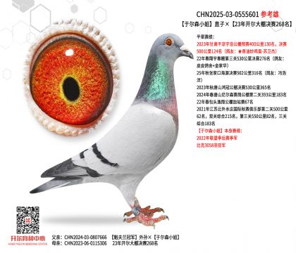 �ڶ�ɭС��ֱ�ӡ�23�꿪���������268��