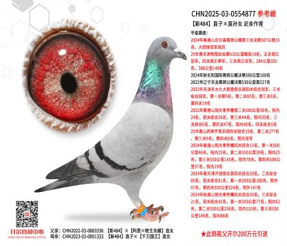 ��484ֱ�ӡ�ֱ��Ů  ��������