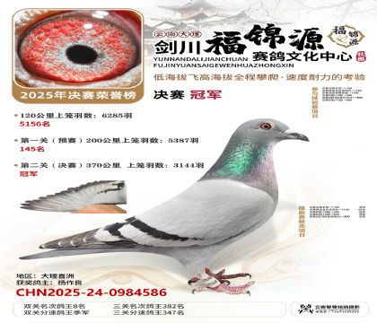 ��������Դ�����ھ���˫�ظ���8����