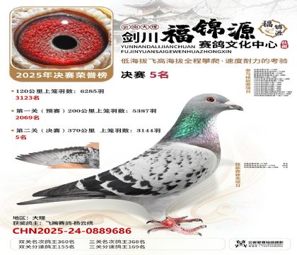 ��������Դ����5��