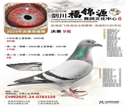 ��������Դ����9��