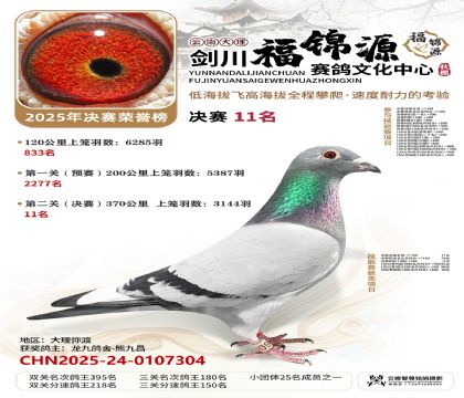 ��������Դ����11��