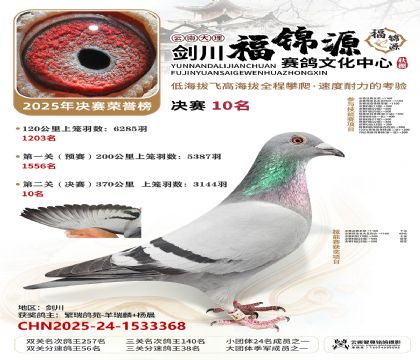 ��������Դ����10��