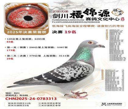 ��������Դ����19��