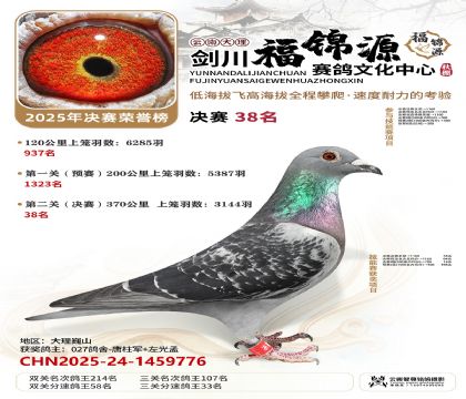 ��������Դ����38��