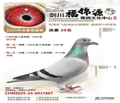 ��������Դ����39��