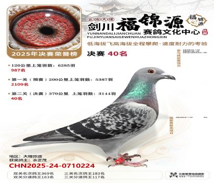 ��������Դ����40��