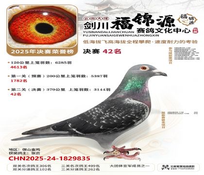 ��������Դ����42��