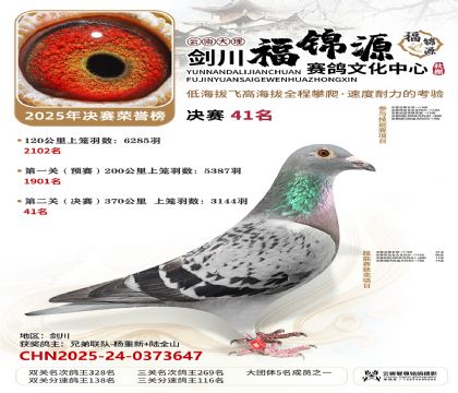 ��������Դ����41��