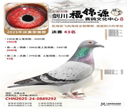 ��������Դ����43��