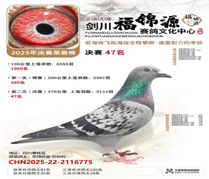 ��������Դ����47��