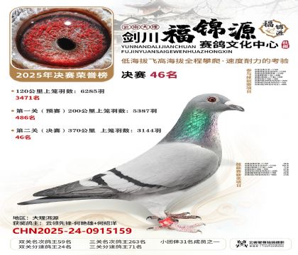 ��������Դ����46��