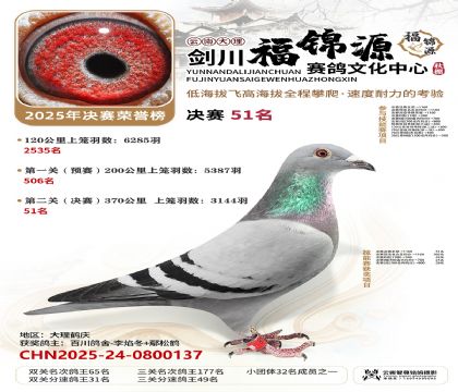 ��������Դ����51��