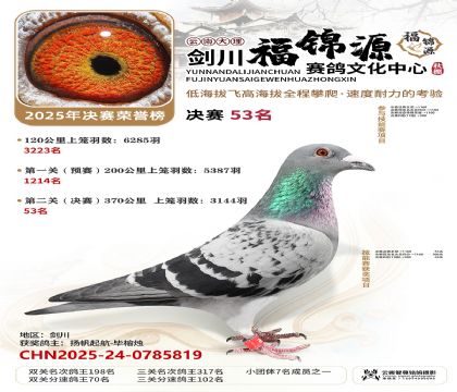 ��������Դ����53��