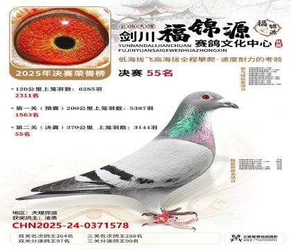 ��������Դ����55��