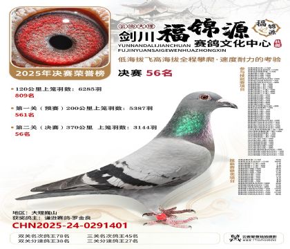 ��������Դ����56��