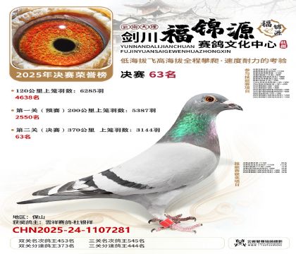 ��������Դ����63��