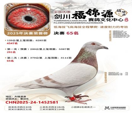 ��������Դ����65��