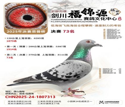 ��������Դ����73��