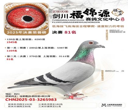 ��������Դ����81��