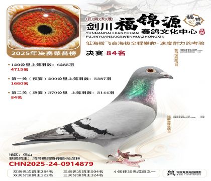 ��������Դ����84��