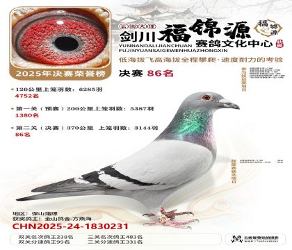 ��������Դ����86��