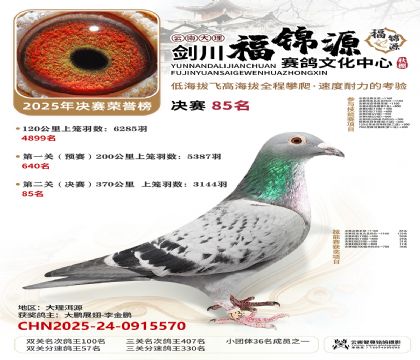 ��������Դ����85��