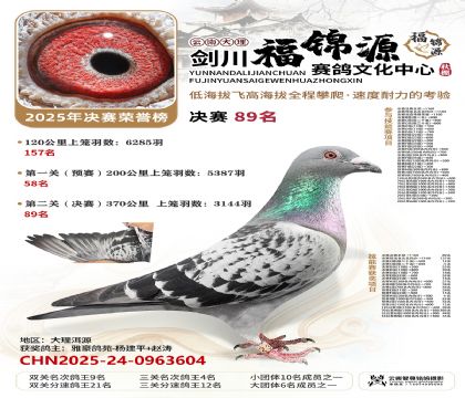 ��������Դ˫�ظ���9��