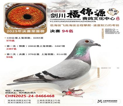 ��������Դ����94��