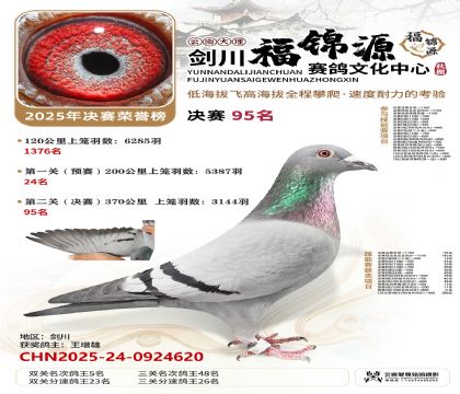 ��������Դ˫�ظ���5��