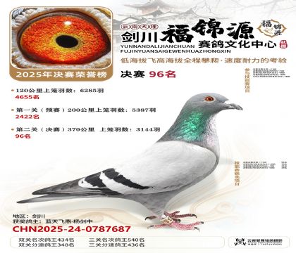 ��������Դ����96��