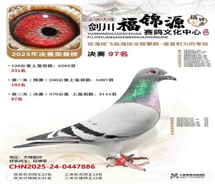 ��������Դ����97��