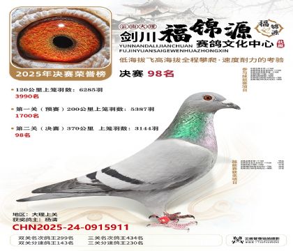 ��������Դ����98��