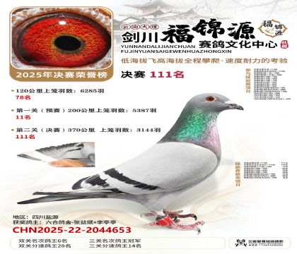 ��������Դ˫�ظ���6��