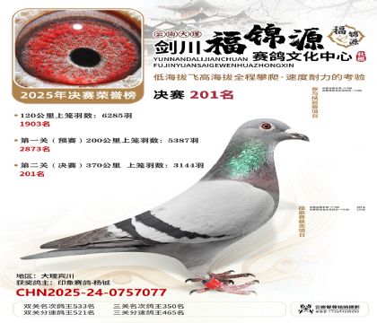 ��������Դ����201��