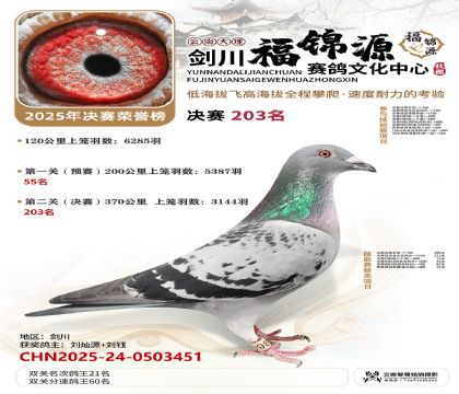 ��������Դ����203��