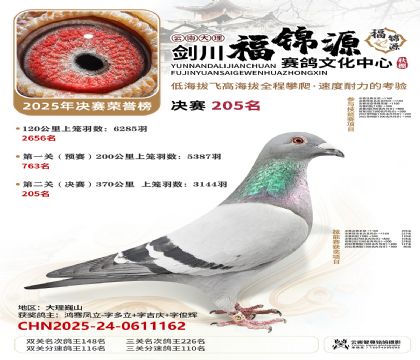 ��������Դ����205��