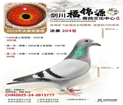 ��������Դ����204��