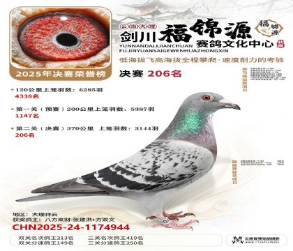 ��������Դ����206��