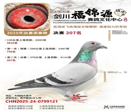 ��������Դ����207��