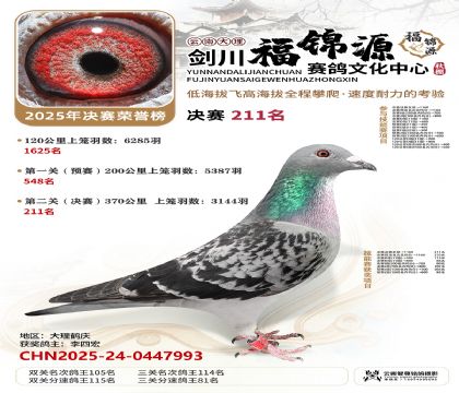 ��������Դ����211��