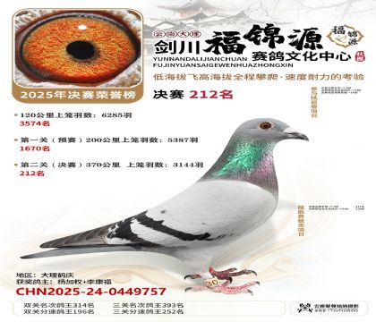 ��������Դ����212��