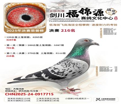 ��������Դ����216��