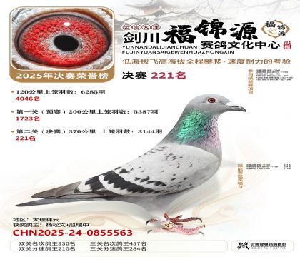 ��������Դ����221��