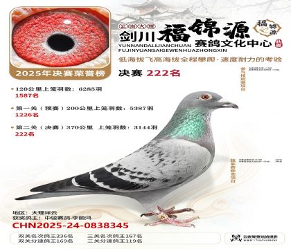 ��������Դ����222��