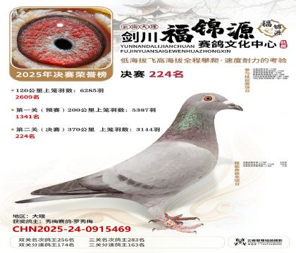 ��������Դ����224��