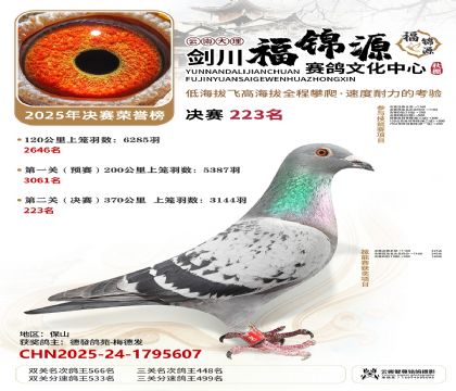 ��������Դ����223��