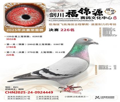 ��������Դ����226��